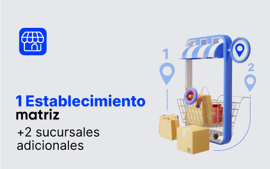 sistema de facturación con varios establecimientos
