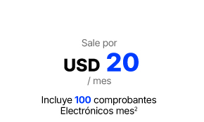 plan pro mensual facturación electrónica